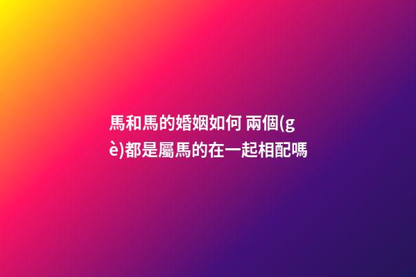 馬和馬的婚姻如何 兩個(gè)都是屬馬的在一起相配嗎-第1張-觀點(diǎn)-玄機(jī)派